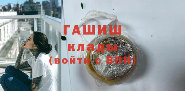 шишки Богородицк