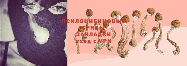 шишки Богородицк