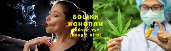 прущие грибы Богородск