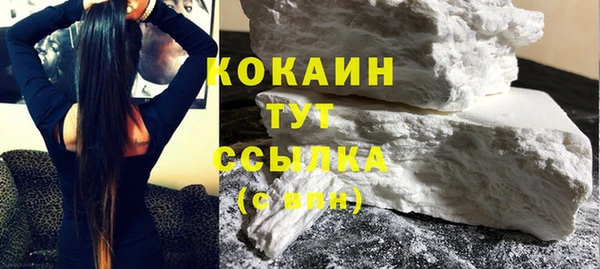 шишки Богородицк