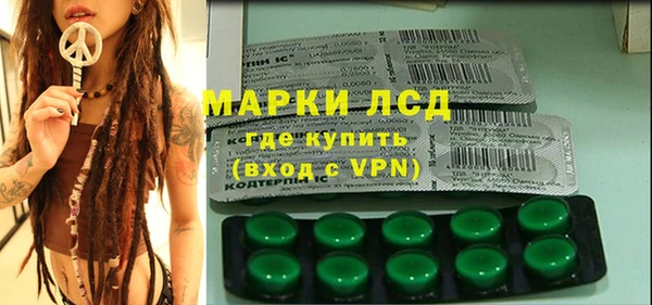 гашиш Богданович