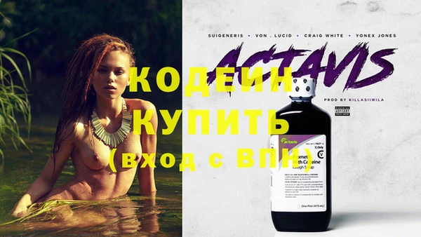 шишки Богородицк