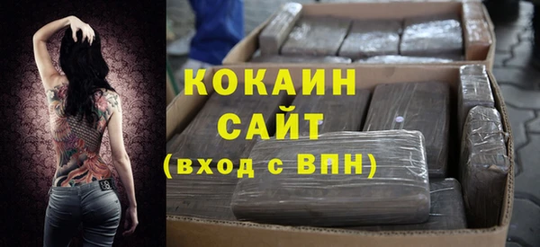 шишки Богородицк