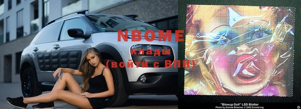шишки Богородицк