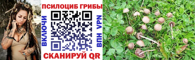 Галлюциногенные грибы Psilocybe  как найти закладки  Дудинка 